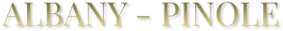 albany-text